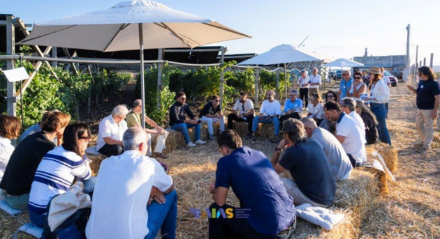 Agrivoltaico_in_Puglia_un_equilibrio_tra_energia_e_viticoltura